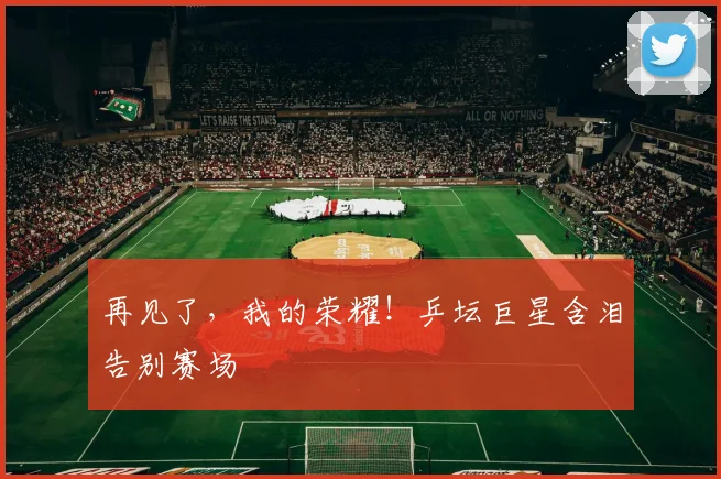 再见了,我的荣耀!乒坛巨星含泪告别赛场