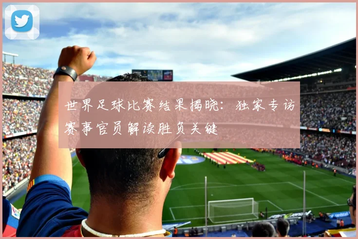 世界足球比赛结果揭晓:独家专访赛事官员解读胜负关键